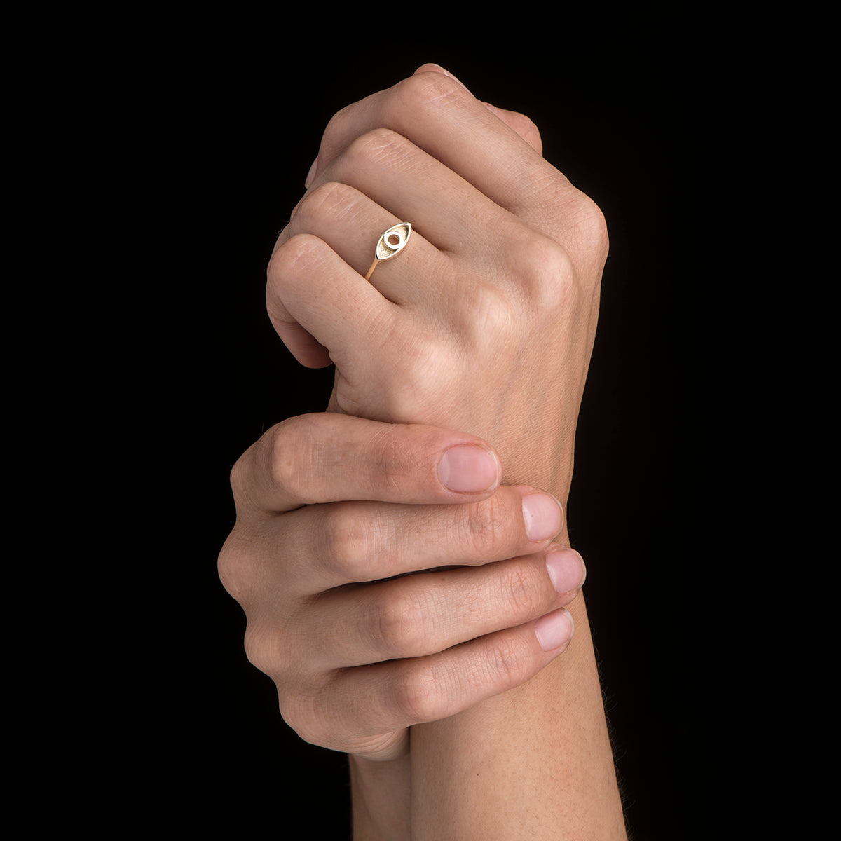 Collection X+ – Born from Rock